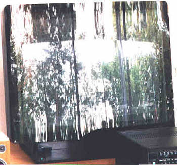 TV 50